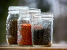 Three types of lentils in jars Three types of lentils in jars