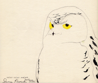 As a boy, James Prosek was inspired by Audubon's <em>Birds of America</em>, just like the protagonist Doug in Gary D. Schmidt's <em>Okay for Now</em>.