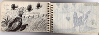A peek inside one of Prosek's childhood notebooks.