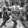 A young demonstrator is attacked by a police dog in Birmingham, Ala., in May 1963. Scenes like these helped usher in the nation's landmark civil rights law, the 1965 Voting Rights Act. The Supreme Court will hear arguments Wednesday over a key provision of the law. A young demonstrator is attacked by a police dog in Birmingham, Ala., in May 1963. Scenes like these helped usher in the nation's landmark civil rights law, the 1965 Voting Rights Act. The Supreme Court will hear arguments Wednesday over a key provision of the law.