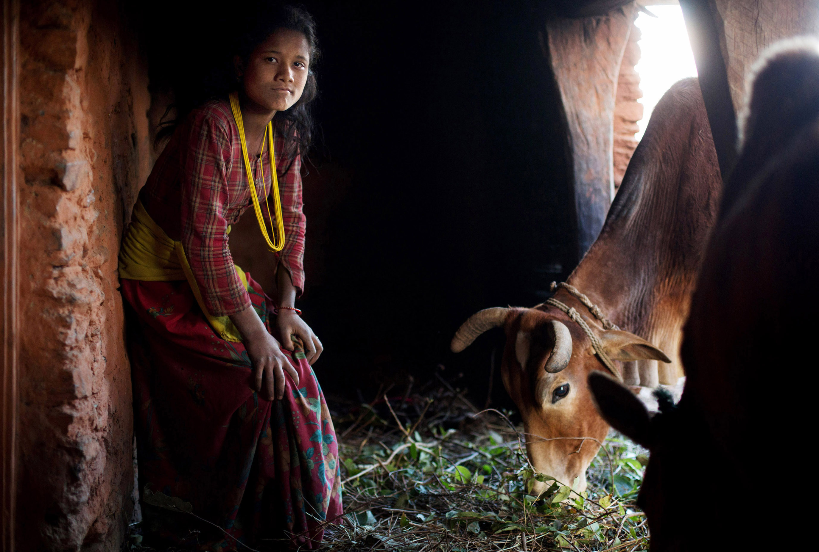 Lalita, 14, poses for a photo inside the household chaupadi shelter, a squat crawlspace under the home shared with the family's animals. Lalita sleeps in the dark space behind where the cows are fed, lighting a fire to protect herself from the elements.
