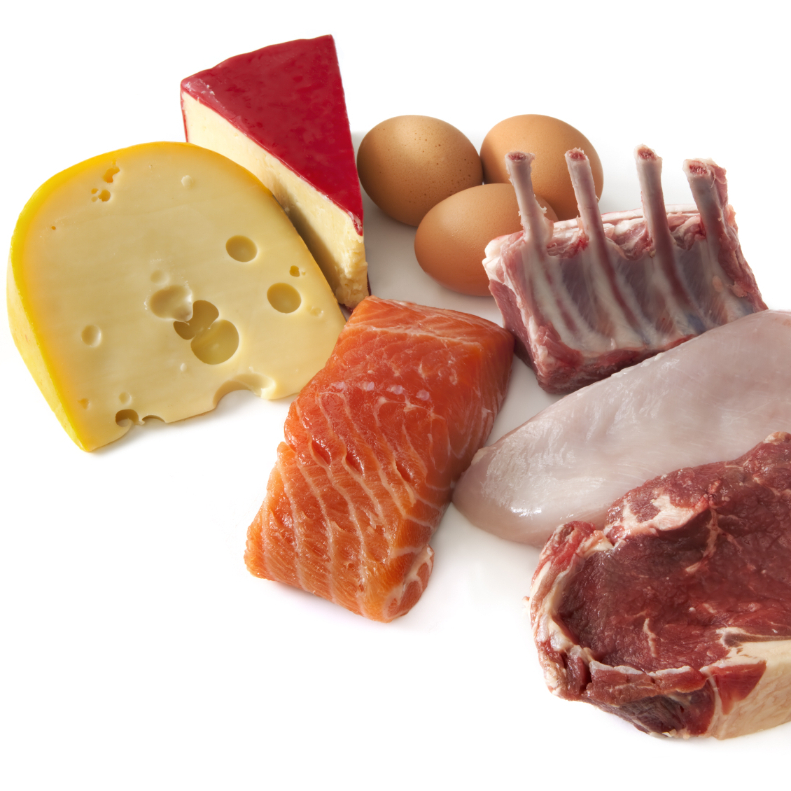 Protein