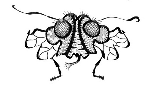Close Your Eyes And Imagine A Protein. See Anything? A Housefly, Maybe?