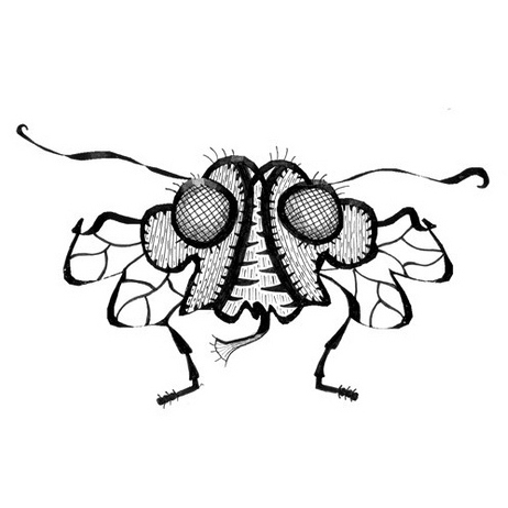 Insulin-Fly