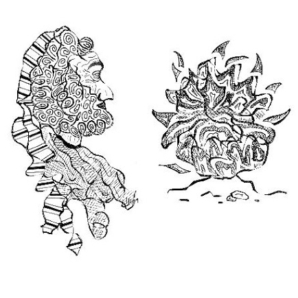 L11 Protein-Moses