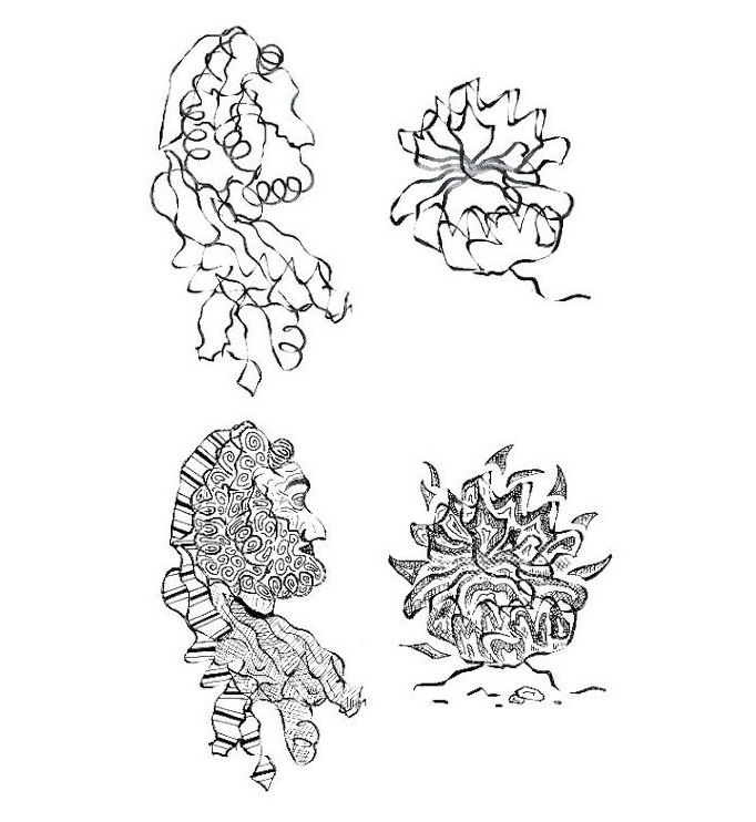 Close Your Eyes And Imagine A Protein. See Anything? A Housefly, Maybe?