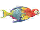 Parrotfishe by James Prosek.