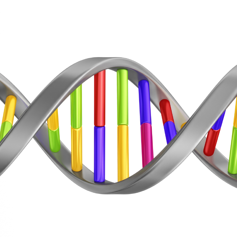 DNA