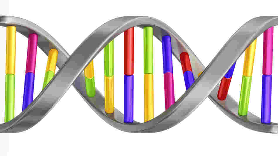 DNA DNA