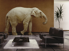The "elephant in the room" is something obvious that can't be overlooked, even if no one is talking about it. The phrase was in use as early as 1935. The "elephant in the room" is something obvious that can't be overlooked, even if no one is talking about it. The phrase was in use as early as 1935.
