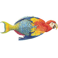 Prosek's Parrotfishe