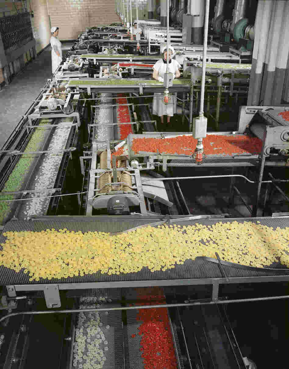 Life Savers Factory, Port Chester, N.Y., 1956. Although he is most well-known for his photographs of architecture, Stoller was also often assigned to photograph stories about innovations in technology and man's relationship with machinery. Life Savers Factory, Port Chester, N.Y., 1956. Although he is most well-known for his photographs of architecture, Stoller was also often assigned to photograph stories about innovations in technology and man's relationship with machinery.