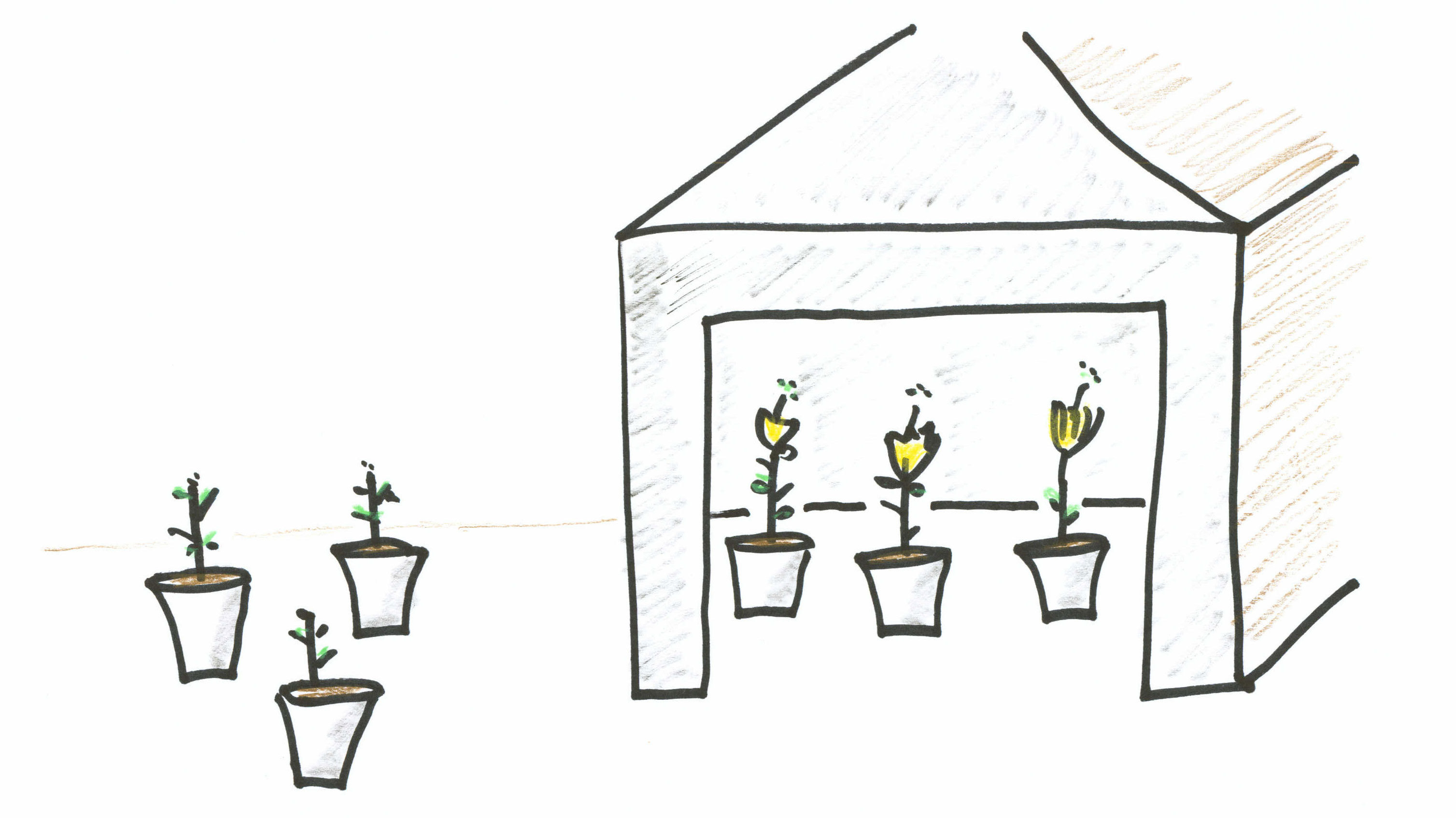 How To Produce A Billion Flowers On The Very Same Day
