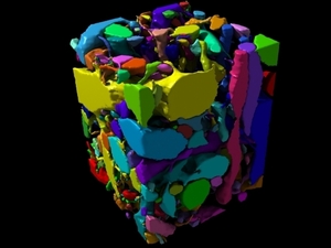 This image represents a chunk, or "cube," of brain. Each different color represents a different neuron, and the goal of the EyeWire game is to figure out how these tangled neurons connect to each other. Players look at a slice from this cube and try to identify the boundaries of each cell. It isn't easy, and it takes practice. You can try it for yourself at eyewire.org.