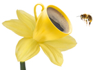 A promo image depicting a bee at a coffee flower. A promo image depicting a bee at a coffee flower.