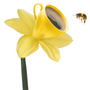 A promo image depicting a bee at a coffee flower.