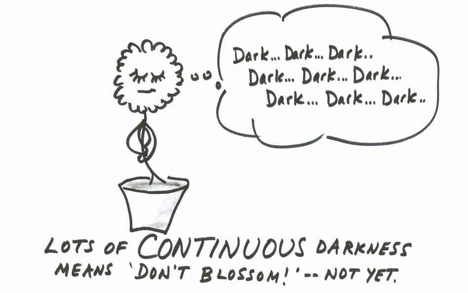 Continuous darkness Continuous darkness