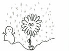 Flower in Winter Flower in Winter