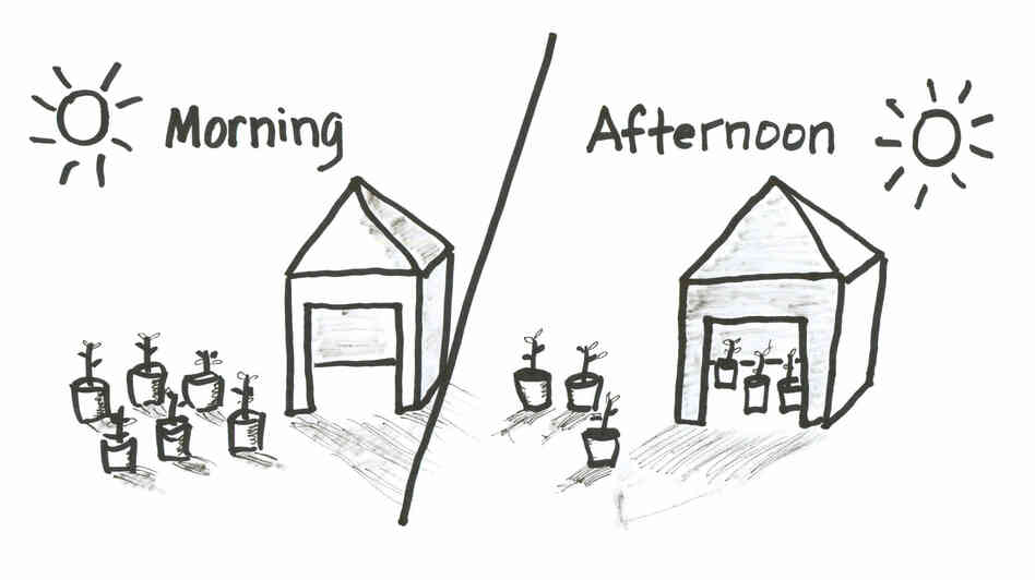 Morning-Afternoon Experiment Morning-Afternoon Experiment