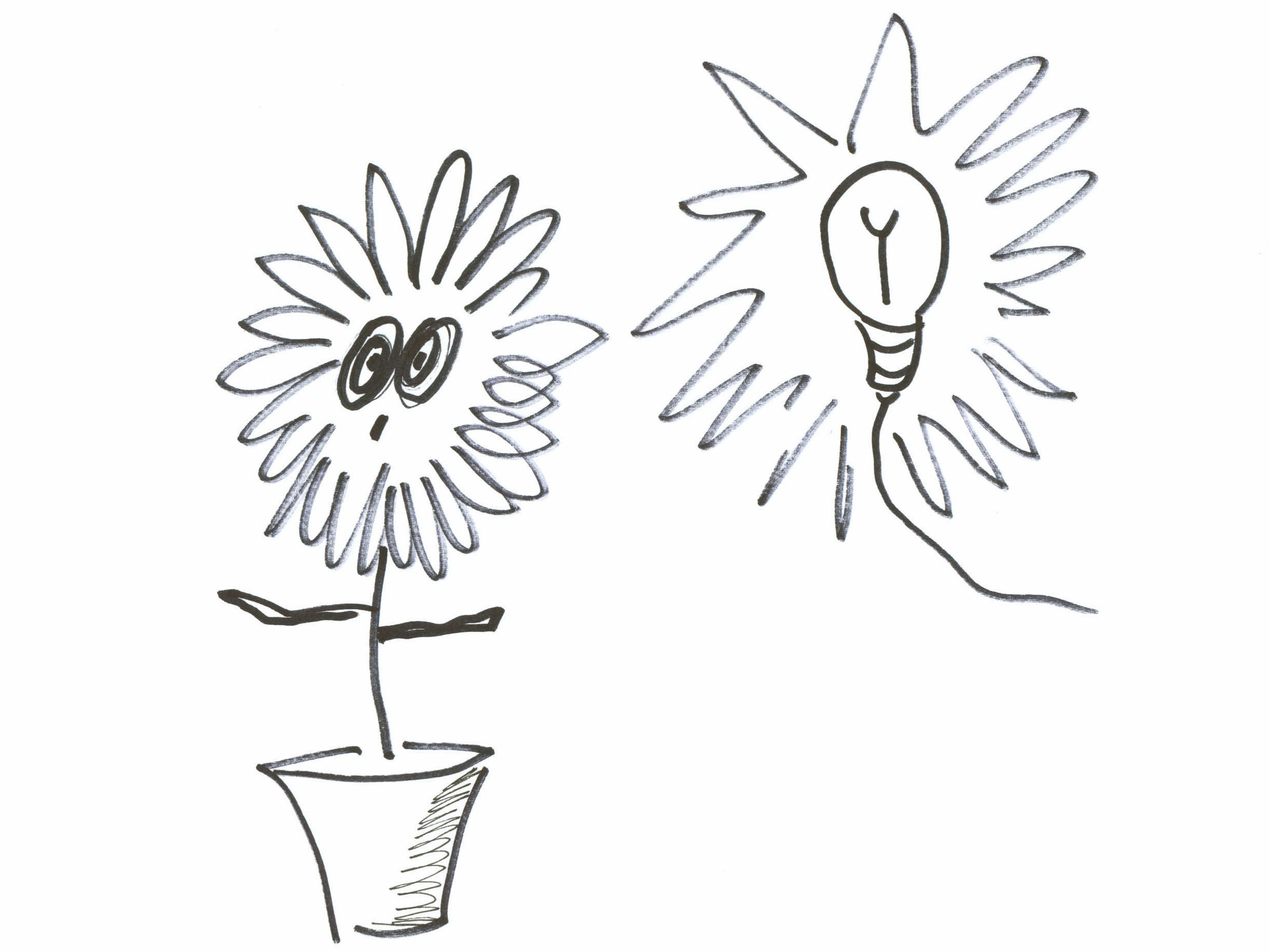 How To Produce A Billion Flowers On The Very Same Day