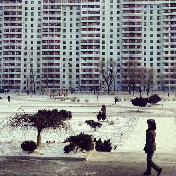 "A female soldier looks across a frozen park in front of an apartment block in #Pyongyang, North Korea."