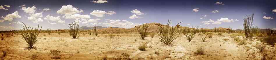 Ocotillo panoramic Ocotillo panoramic
