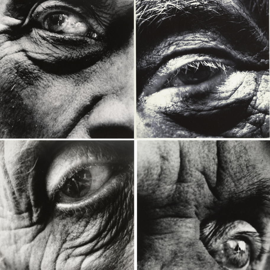 eyes