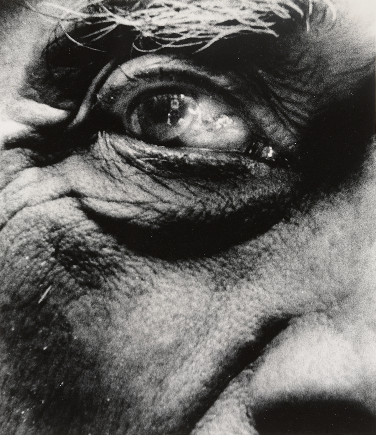 Georges Braque, 1960