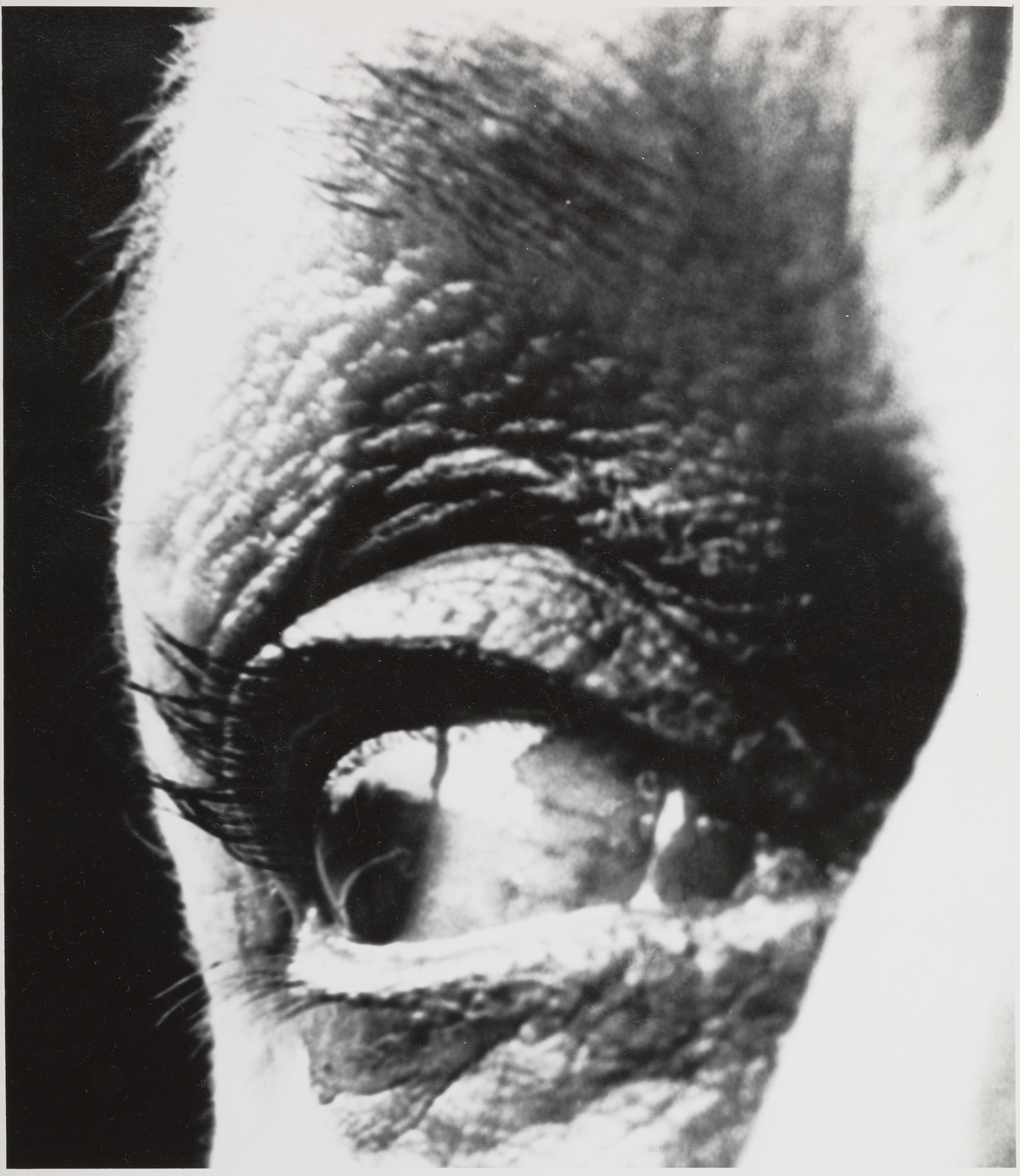 Louise Nevelson, 1963