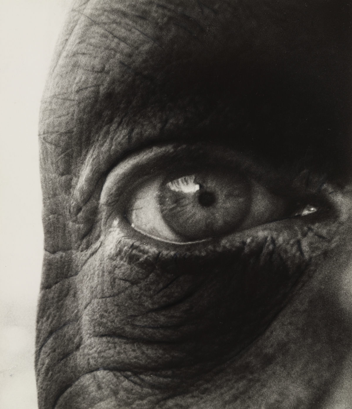 Jean Dubuffet, 1960