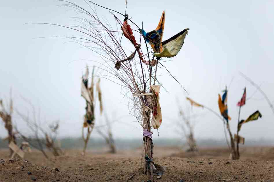 Black Garden (An Offering), 2009. Small bottles filled with oil are sometimes left as offerings for the dead; the oil may be used for burning wool, a ritual activity at some mazars.