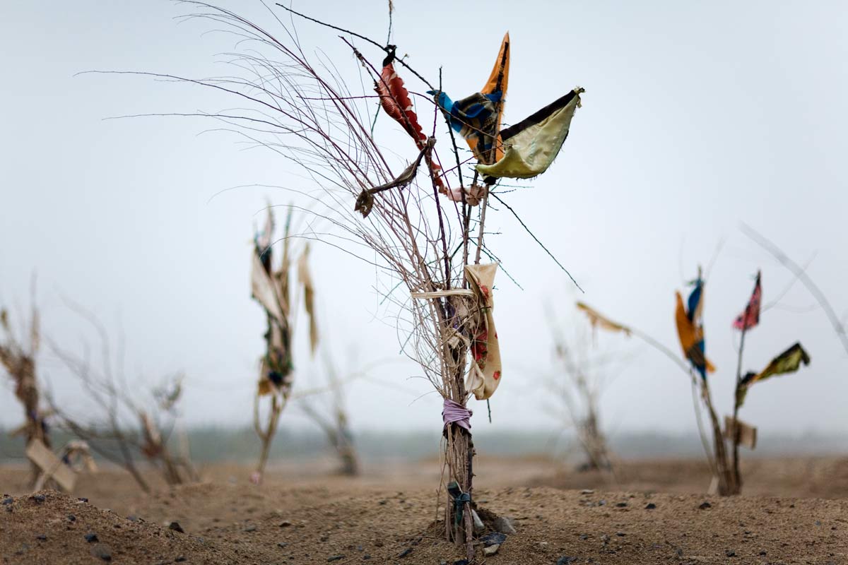Black Garden (An Offering), 2009. Small bottles filled with oil are sometimes left as offerings for the dead; the oil may be used for burning wool, a ritual activity at some mazars.
