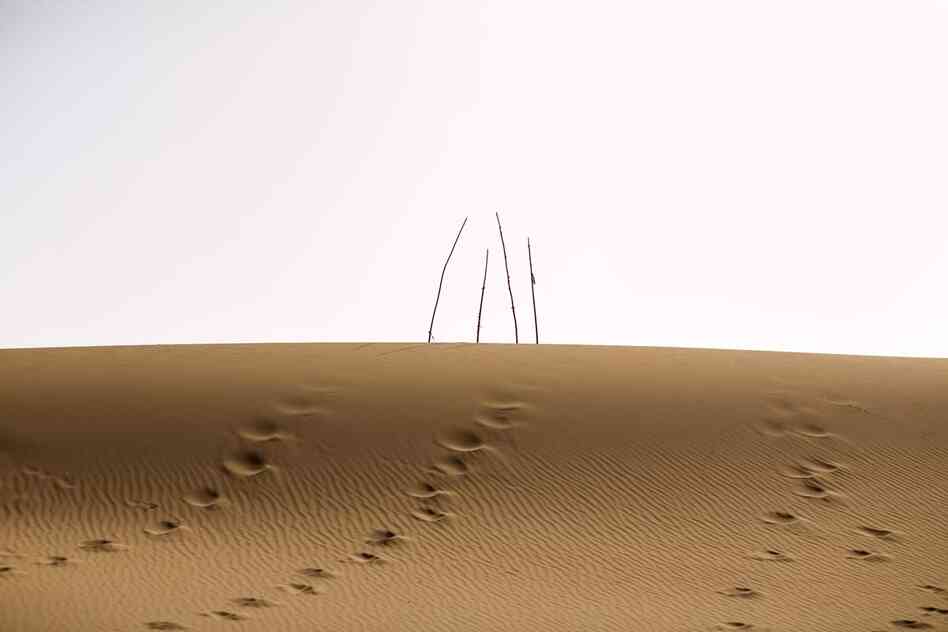Unrevealed, Site 12 (Four Branches), 2009. Footprints lead up to four bare holy markers in the dunes.