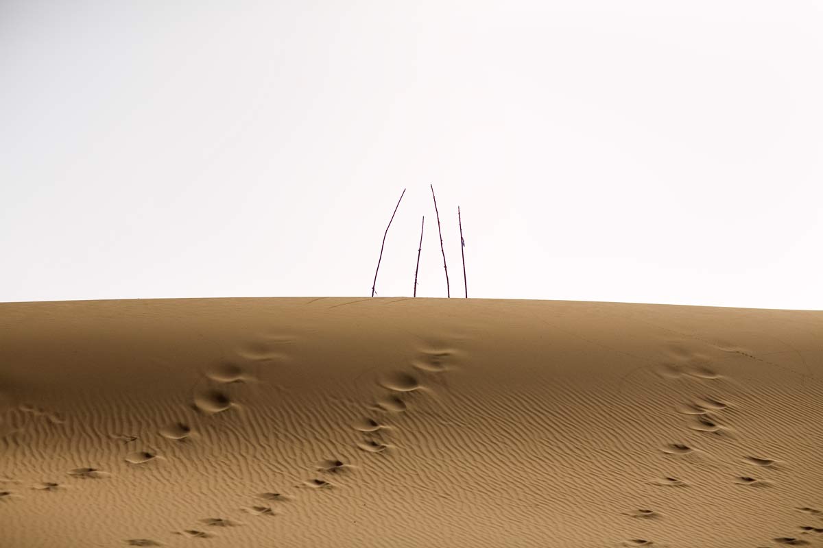 Unrevealed, Site 12 (Four Branches), 2009. Footprints lead up to four bare holy markers in the dunes.