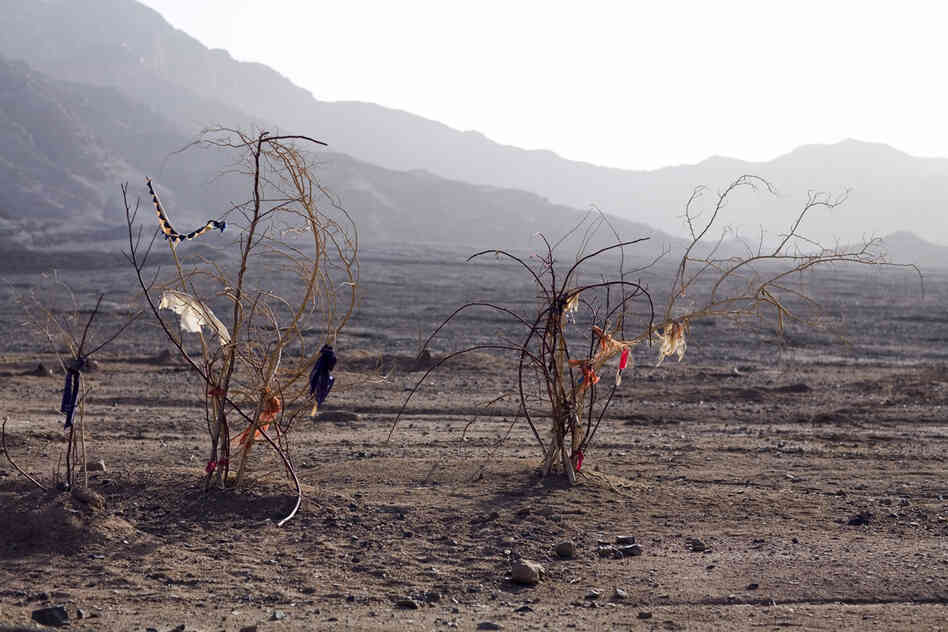 Black Garden (Tandem), 2009. Two markers, coupled in an isolated area.