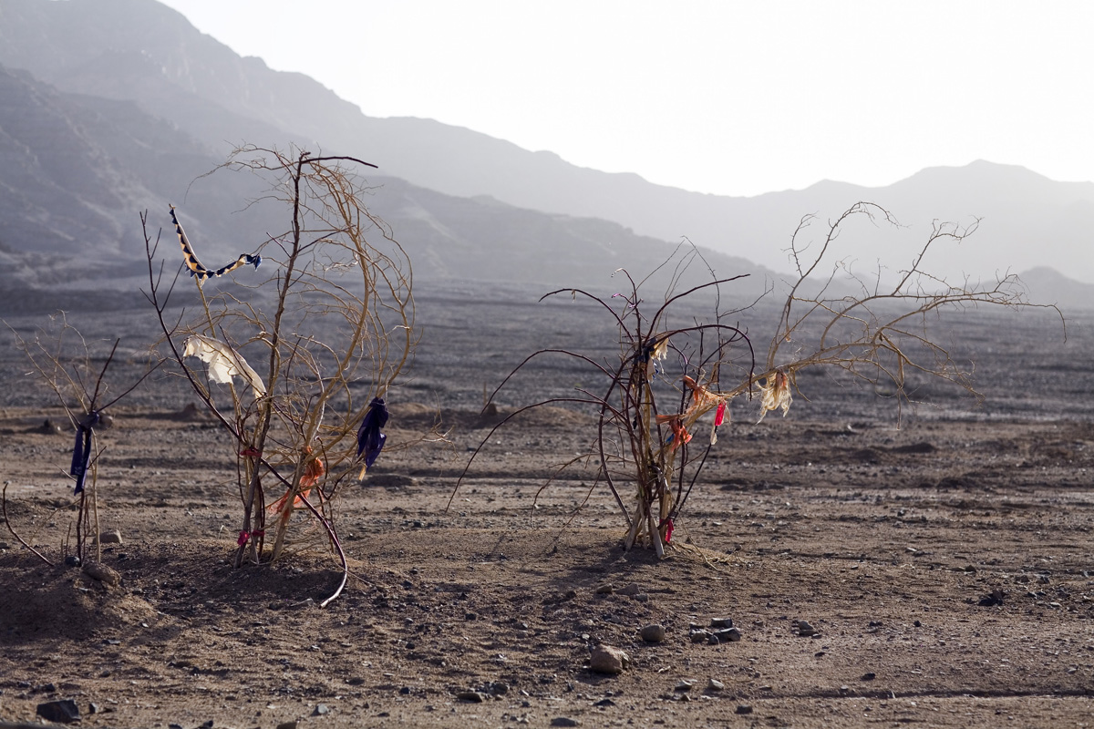 Black Garden (Tandem), 2009. Two markers, coupled in an isolated area.