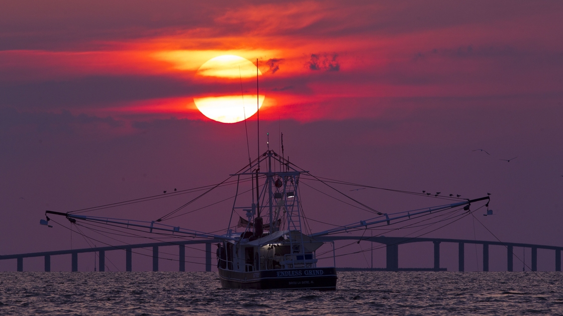 The shrimp boat Endless Grind trawls for shrimp off Dauphin Island, Ala., in May 2012.