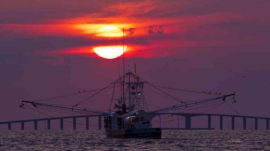 The shrimp boat Endless Grind trawls for shrimp off Dauphin Island, Ala., in May 2012.