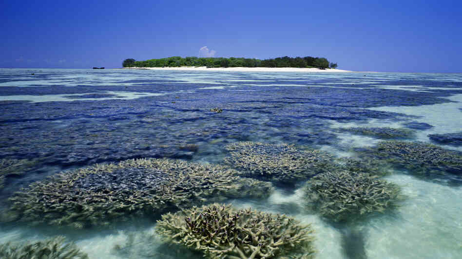 Heron Island is located on the southern end of the Great Barrier Reef, about 25 miles off the northeast coast of Australia. Heron Island is located on the southern end of the Great Barrier Reef, about 25 miles off the northeast coast of Australia.