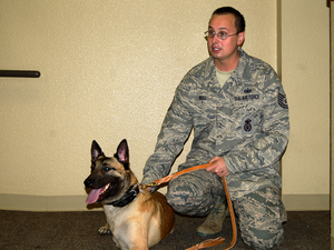 Tech. Sgt. Joe Null kneels with Layka, a combat dog who lost her legs overseas. She was given an award for animals that serve heroically in combat.