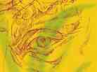 Cover of Where Tigers Are at Home