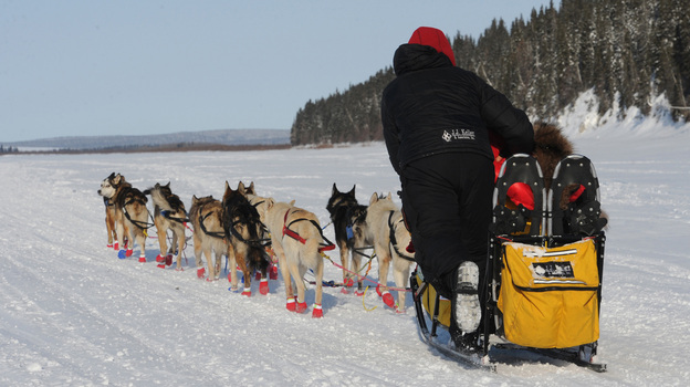 On their way to victory: Mitch Seavey and his team as they left White Mountain, Alaska, on Tuesday in the last leg of the Iditarod.