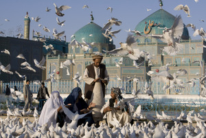 Afghans feed pigeons at the Shrine of Hazrat Ali in northern Afghanistan, 2009.