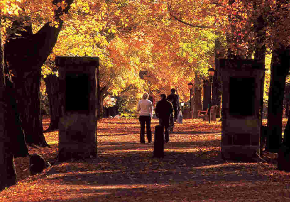 Kenyon College is a liberal arts college in central Ohio.