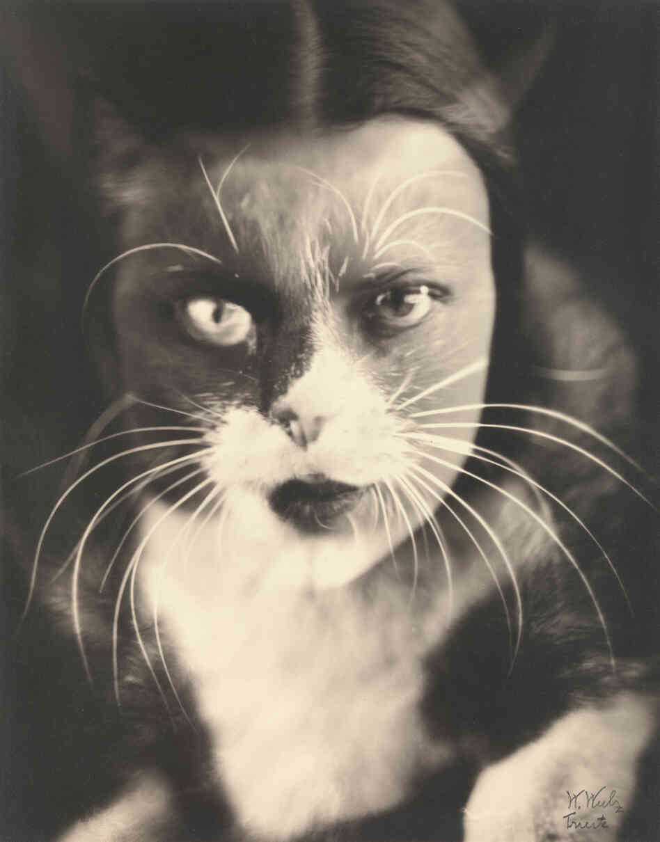 Io + gatto (Cat + I), 1932 (Wanda Wulz)