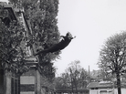 Leap into the Void, 1960 (Yves Klein, Harry Shunk and Jean Kender) Leap into the Void, 1960 (Yves Klein, Harry Shunk and Jean Kender)