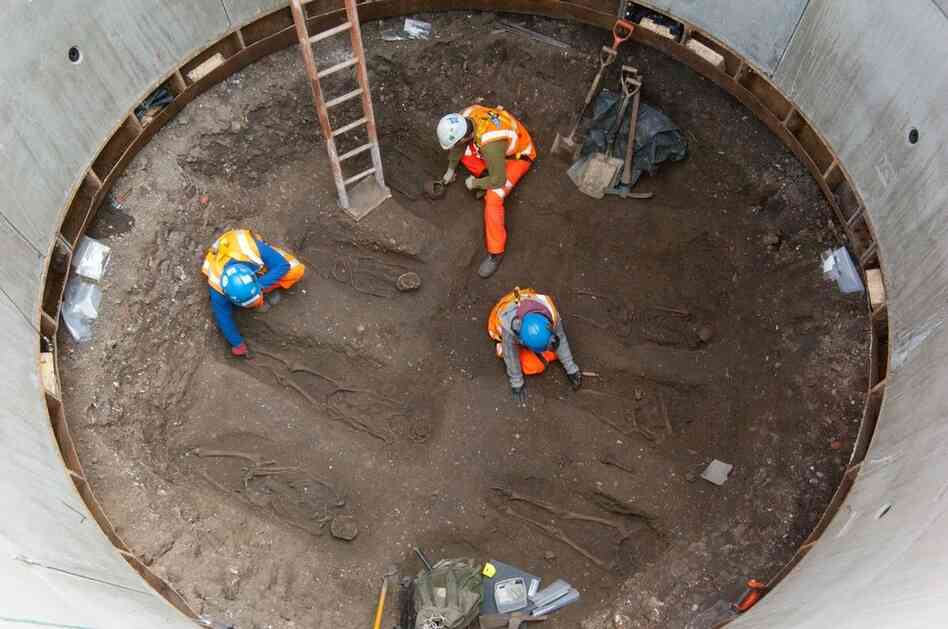 Archaeologists examine skeletons thought to be from the 14th century that were discovered in an excavation belonging to British rail company, Crossrail.