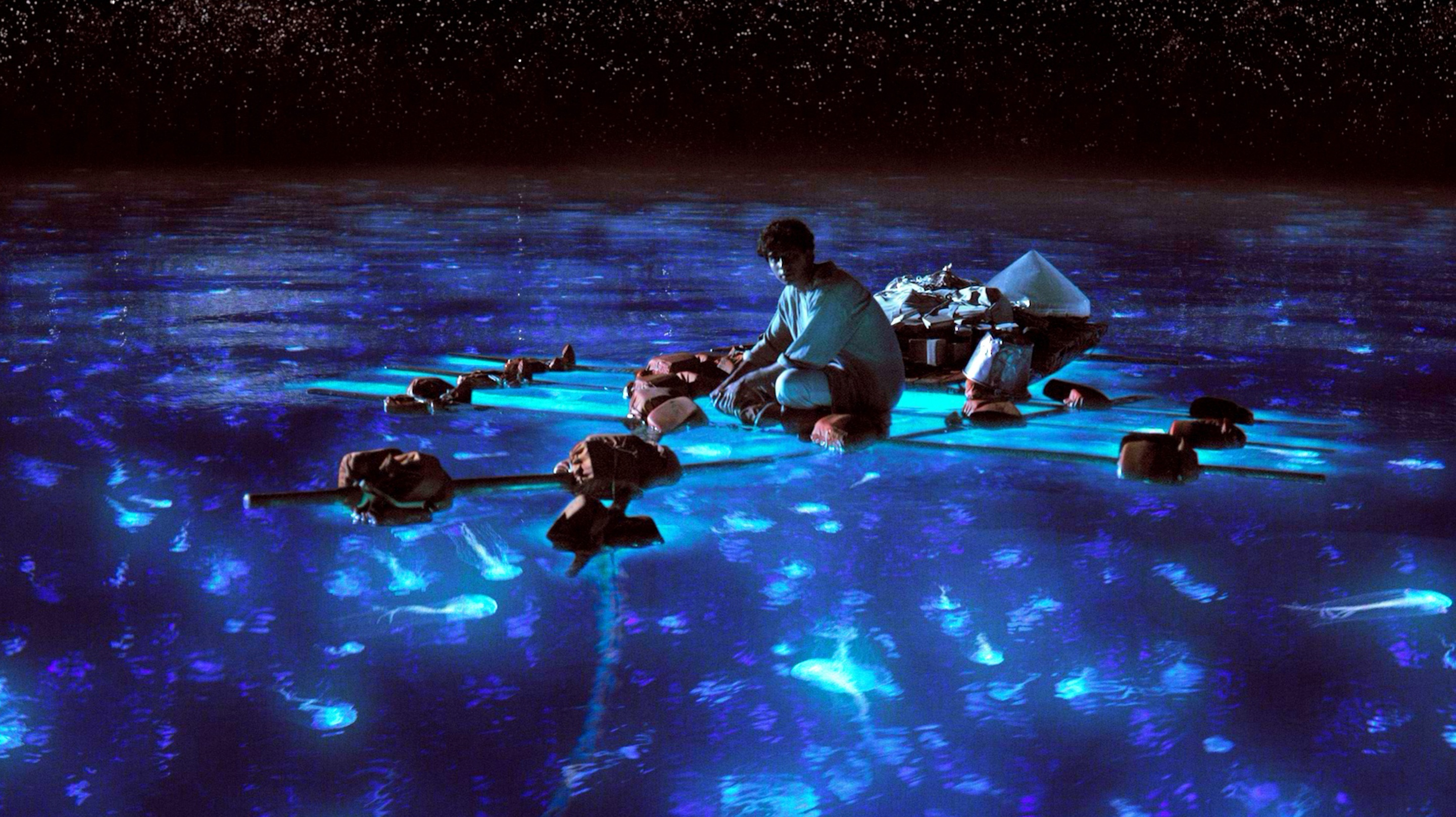 Suraj Sharma as Pi in Ang Lee's <em>Life of Pi</em>. The film was widely praised for its stunning visual effects and realistic digital depictions of the animal characters that populate the film.