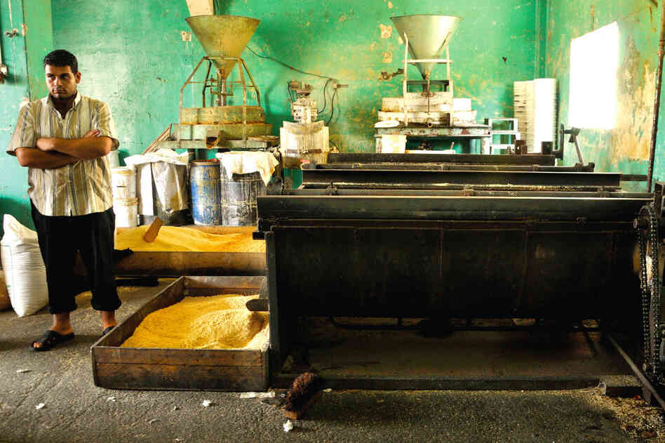 At the Al Manar Factory, sesame seeds are roasted then ground between millstones. The paste is then bottled and sold as one of Gaza's best-known brands of tahini.