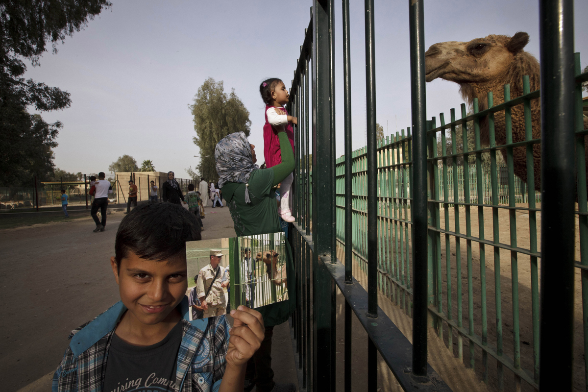 Abdullah, 8, poses with a 2003 photograph taken by Niko Price, showing a U.S. soldier visiting the newly opened zoo. The zoo was destroyed during the 2003 U.S.-led invasion. Only a handful of animals survived, and later the grounds were used as a holding facility for looters detained by U.S. soldiers. It reopened later in 2003 and today houses more than 1,000 animals.